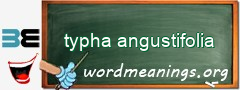 WordMeaning blackboard for typha angustifolia